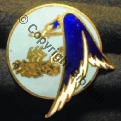 A1165NH ECOLE AIR SALON  A.AUGIS ST.BARTH LYON 3Li Bol fenetre allonge Dos Grenu +PoinconAA LYON Pommeau blanc Src.parotict 4Eur12.25 